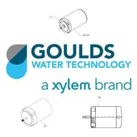 E09874BBS Goulds Water Technology Replacement Pump Motor, 3 3/50/60/208-230-460 2P DP by Xylem