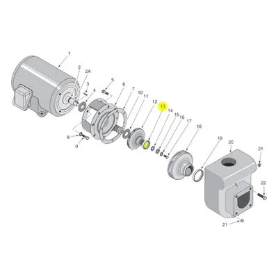 Berkeley Pump C23-14 Water System Parts