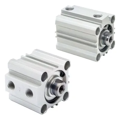 MDS10-AAADN-010 ARO Premair Series Square Metric Compact Pneumatic Cylinder, Double Acting, by Ingersoll Rand