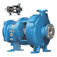 2196LF ANSI Low-Flow Pumps
