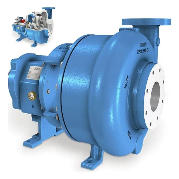 2196R ANSI Recessed Impeller Pumps