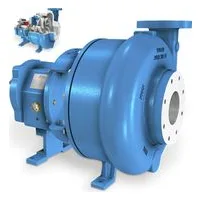 2196R ANSI Recessed Impeller Pumps