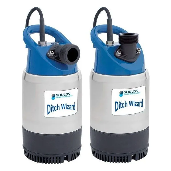 2DW