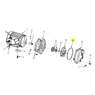 AMT Pump Repair Part 1582-000-00, #243 O-RING BUNA N