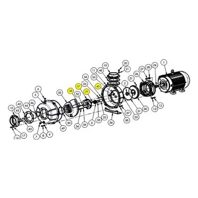 AMT Pumps 6200-300-90, Pump Repair Parts, Kits & Accessories. ORING/GASKET VITON SUBGROUP by Gorman-Rupp.