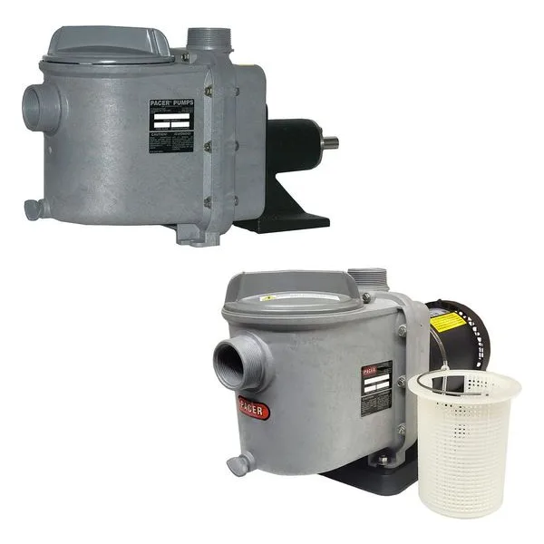 G Series Self-Priming Thermoplastic Pumps