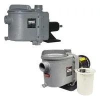 G Series Self-Priming Thermoplastic Pumps