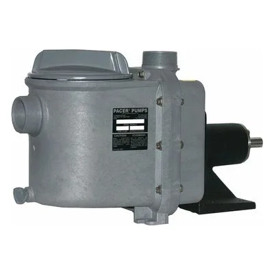 Pacer GNOK1-1/2/2AL CSS Pedestal Mounted G Series Self-Priming Centrifugal Pump, G PUMP, NORYL, REQUIRES 1/2HP