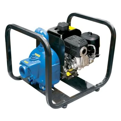 AMT Pumps 82D1-XR550-X Shield-a-Spark Flammable Liquid Pump, Front Product View