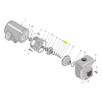 Berkeley Pump C43-45SS Water System Parts