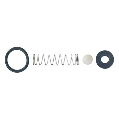 Stenner BC100-2 TANTALUM BALL CHECK COMPONENTS KIT (PACK OF 2) Stenner Repair Parts, Kits and Accessories