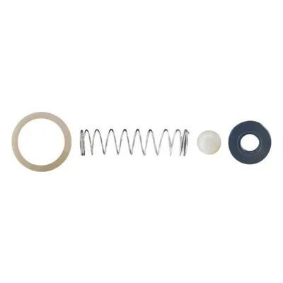 Stenner BC102-2 STAINLESS STEEL BALL CHECK COMPONENTS KIT (PACK OF 2) Stenner Repair Parts, Kits and Accessories