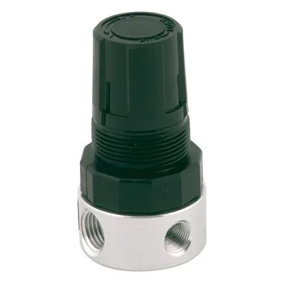 Graco 110318 REGULATOR, AIR, 1/4" NPT, Product Image