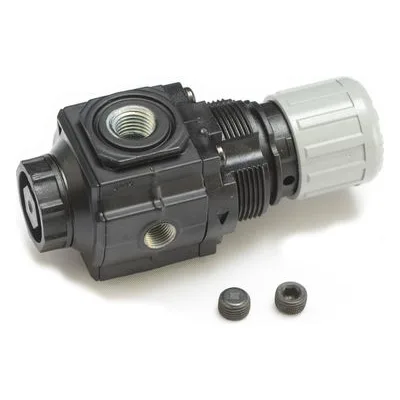 Graco 116513 REGULATOR, AIR, Product Image