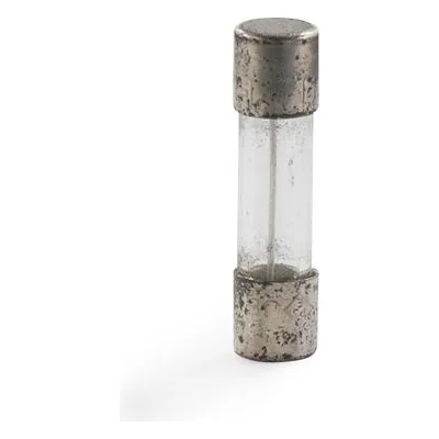 Graco 119276 FUSE, 12.5 APM, TIME LAG, 5 X 20, Product Image