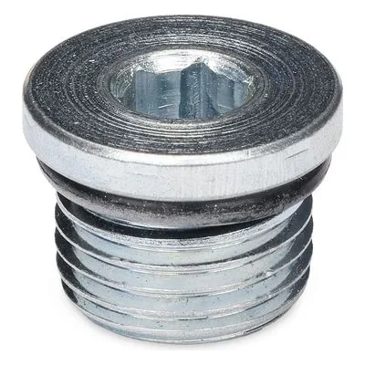 Graco 129752 PLUG, CAP, HEXHD, 9/16-18 SAE, Product Image