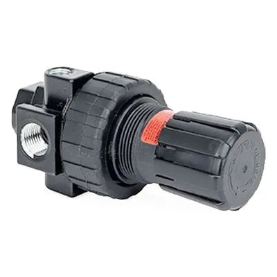 Graco 104266 REGULATOR, AIR W PSI   250, Product Image