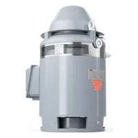 Vertical Hollow Shaft Motors