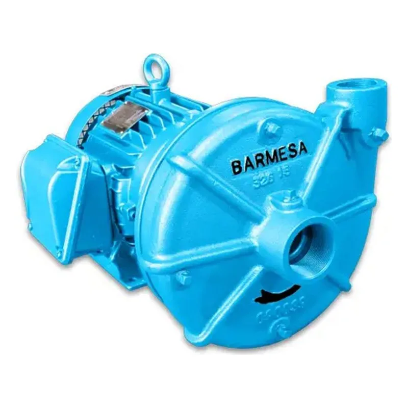 62212007 IA1-3-2-1 IA Series Close-Coupled End-Suction Centrifugal Pump, Cer/Car/Buna/SS Type 01 Mechanical Seal - view 4