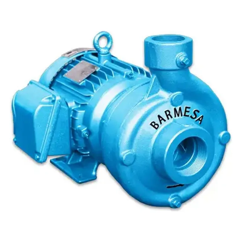 62071041 IB2-1/2-1-4 IB Series Close-Coupled End-Suction Centrifugal Pump, Cer/Car/Buna/SS Type 01 Mechanical Seal - view 4