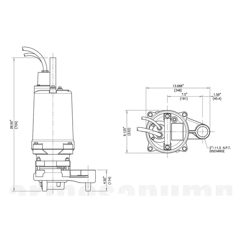 BGP503DS 62170609 Barmesa Submersible Grinder Pump Dimensions, 2" Vertical NPT Connections, 3500 RPM - view 3