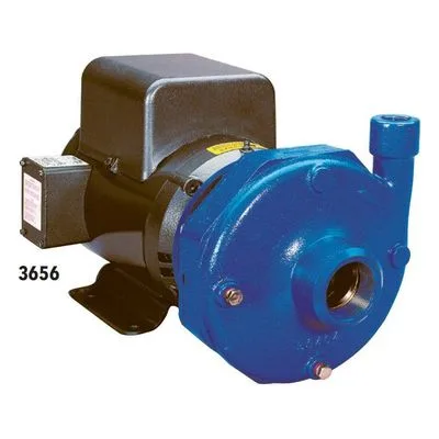 Goulds 3656 S Group 22BF1D1L0 Pump, 3/4HP 1/60/115-230 DP 3.81" Centrifugal