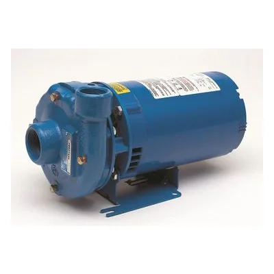 Goulds Pumps 3642 Cast Iron Centrifugal Close Coupled End Suction Pump | Water Circulation, Liquid Transfer & General Purpose