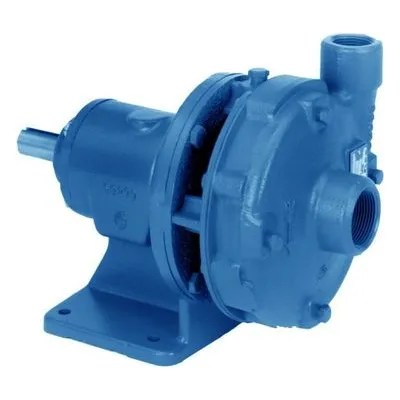 Goulds Pumps 3742 Cast Iron Centrifugal Close Coupled End Suction Pump | Water Circulation, Liquid Transfer & General Purpose