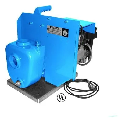 Goulds Pumps 2AM32 Gas Engine Drive Self Prime Petroleum Pump
