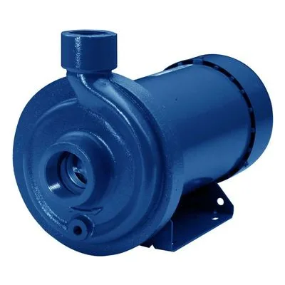 100MC1C1E0 Goulds Water Technology MCC Series Stainless Steel Pumps, 1/2HP 1/60/115-230 DP 4.44", a Xylem Product.