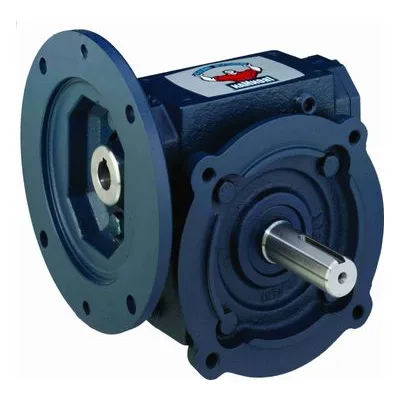 GR8181165.00 Grove Gear (GR-CMQ818-50-R-56) Regal Rexnord GR Series - Ironman Cast Iron 800 Worm Gear Speed Reducer