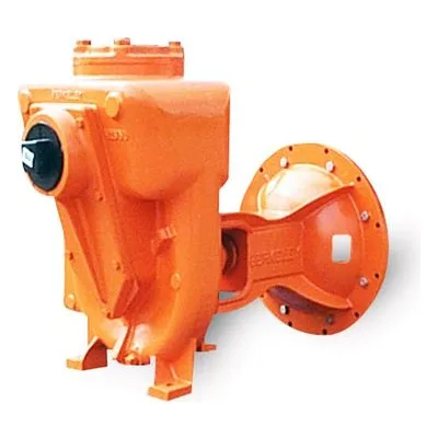Berkeley Pumps Self-Priming B06310 Centrifugal Pump Model B2XRKS