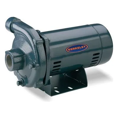 Berkeley Pumps CP / CB S39489 High & Medium Head Cast Iron Centrifugal Pump Model CP1MPS