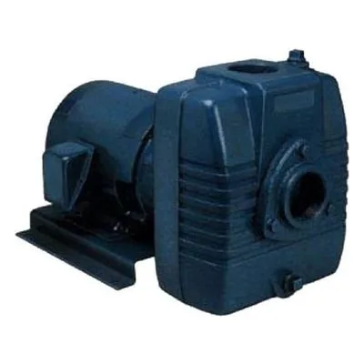 Barnes 028506AG 10CCE Electric Drive Self-Priming Centrifugal Pump, 2-Inch NPT Standard Connection