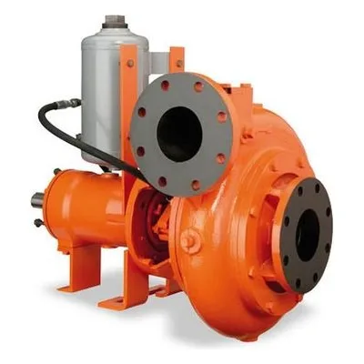 Berkeley Pump BSD B85622 Frame Mount Solids Handling Pumps