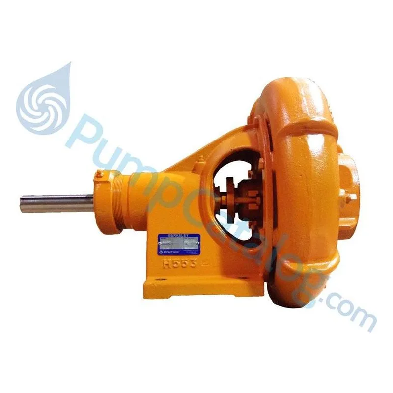 Berkeley Pumps Type B Frame Mount B66168 Centrifugal Pump Model B3ZRM - view 2