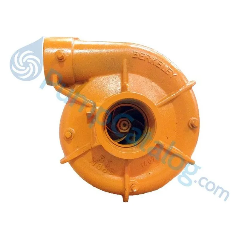 Berkeley Pumps Type B Frame Mount B66161 Centrifugal Pump Model B3ZRM - view 3