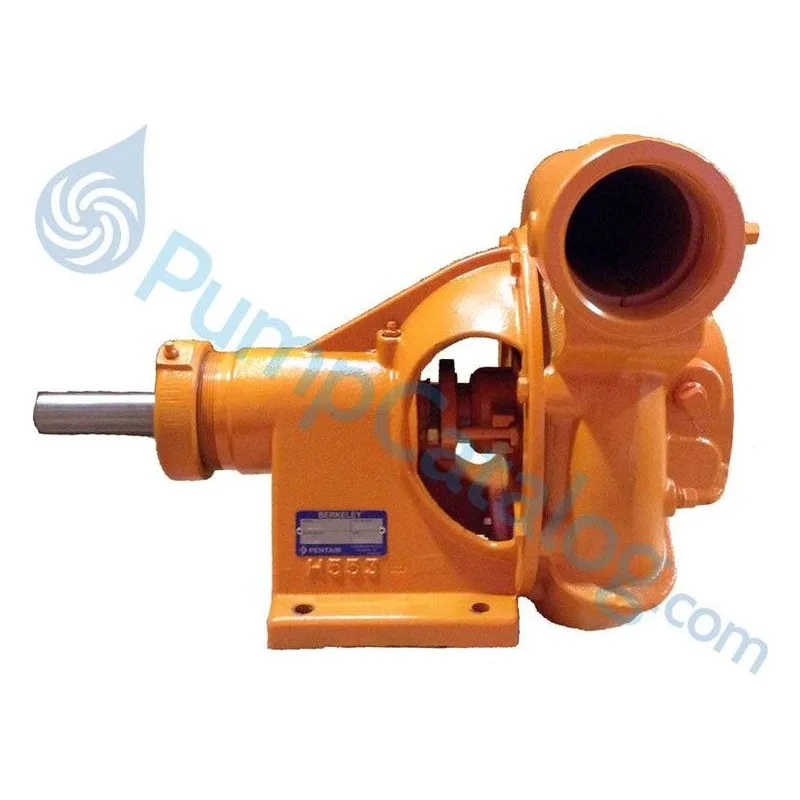 Berkeley Pumps Type B Frame Mount B66161 Centrifugal Pump Model B3ZRM - view 4