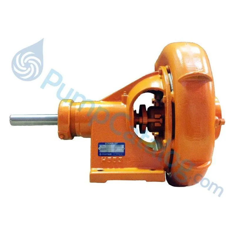 Berkeley Pumps Type B Frame Mount B66895 Centrifugal Pump Model B3ZRM - view 2