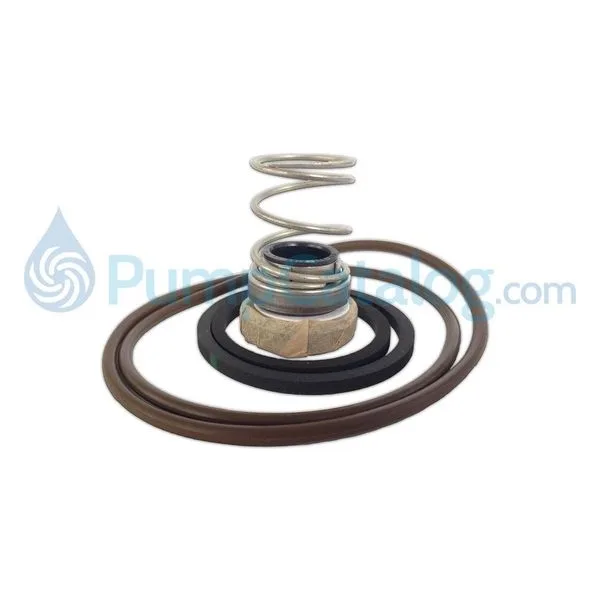 Goulds Pumps RPKNPE Repair Kit