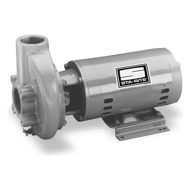 CCHH-137S Sta-Rite Centrifugal Pump - view 2