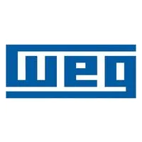 WEG Pump Motors