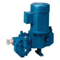 Neptune 500-E Economy Hydraulic Metering Pumps