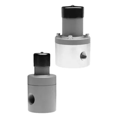BP-C20 Neptune Pump - 1/2" C20 Back Pressure Valve, Teflon Diaphragm. PSG, A Dover Company.
