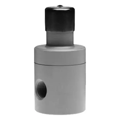 BP-PVC-050 Neptune Pump - 1/2" PVC Back Pressure Valve, Teflon Diaphragm, preset at 50 psi. PSG Dover.