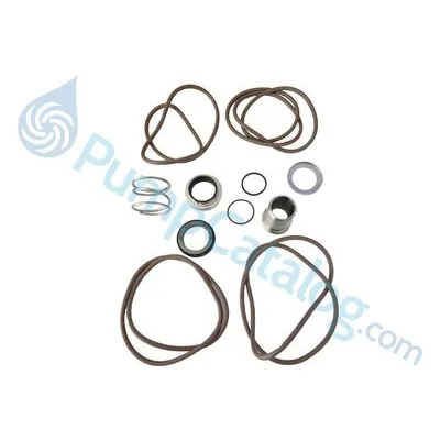 Goulds Pumps RPKESHS Repair Parts & Accessories, e-SH Seal Kit- S-Group. Manufactured by Xylem.