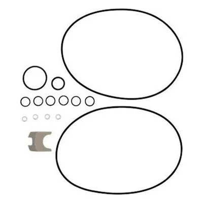 Grundfos Pumps Model 96416599 CR(N)45/64 GASKET KIT EPDM