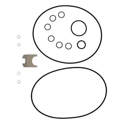 Grundfos Pumps Model 96416597 CR(N)32 GASKET KIT EPDM