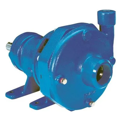 Goulds 9BFFRMB0-H13A32E5BK2S 3756 S-Group Pump, Frame Mount. 15 3/60/208-230-460 2P TPE 7.62"DIA. BEDPLATE UNIT by Xylem.