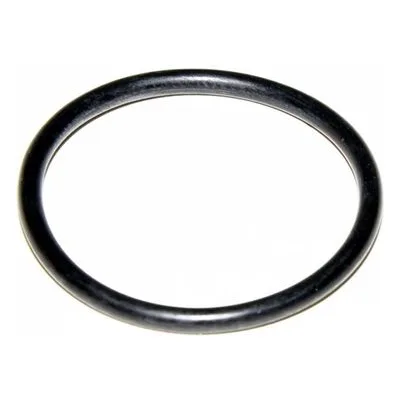 Yamada Pumps Part # 686029 O RING (BUNA)